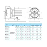 Центробежный поверхностный насос CNP MS 250/2,2 SSC